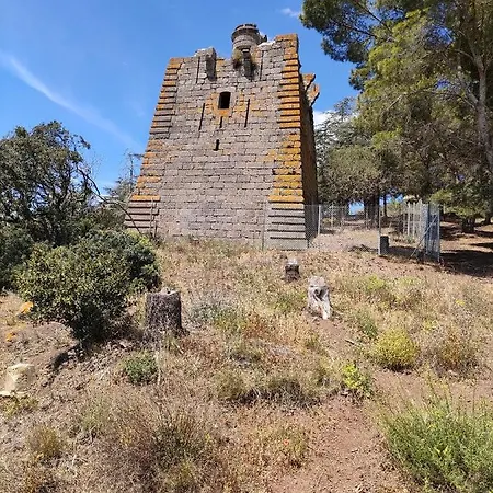 アパート Meuble Climatise Centre Port Cap D'agde