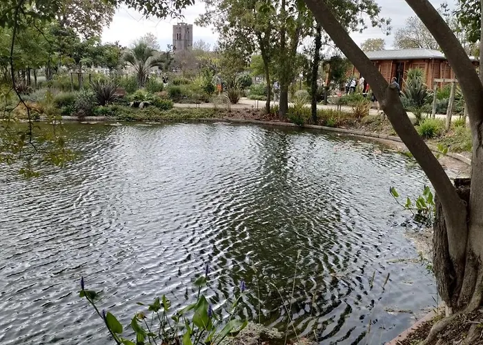 Daire Meuble Climatise Centre Port Cap D'agde *